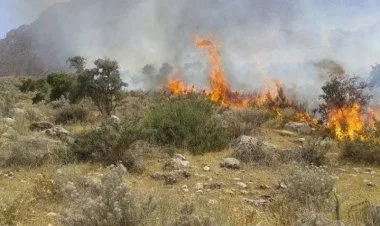 Qazaxın kəndində baş verən yanğın söndürülüb