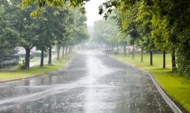 Sabah bəzi yerlərdə yağış yağacaq