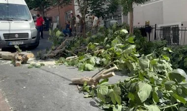 Türkiyədə fırtına fəsadlar törədib, xəsarət alanlar var