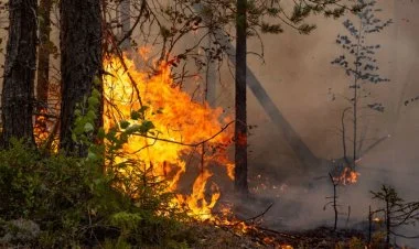 Ağstafada meşə sahəsində yanğın başlayıb