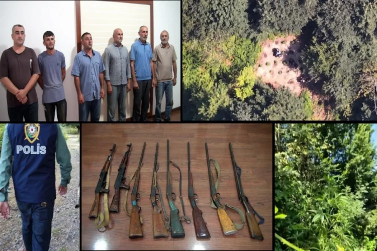 Dağda narkotik becərən silahlı dəstə həbs edilib