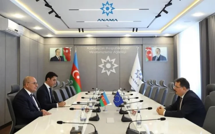 ANAMA rəhbərliyi Aİ-nin Bakıdakı təmsilçisi ilə görüşüb
