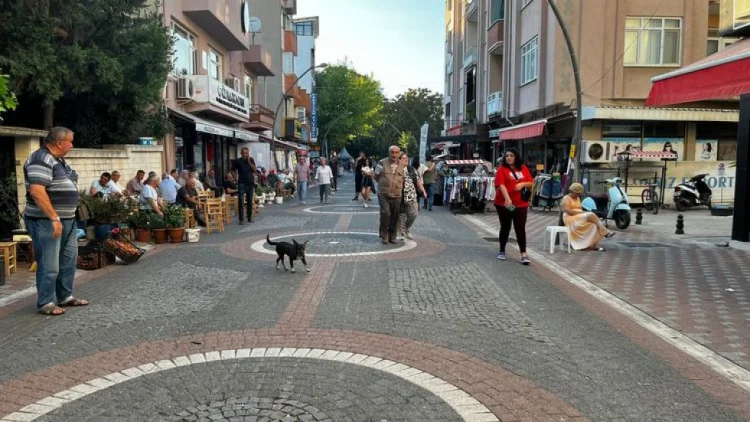 Türkiyədə daha bir neçə zəlzələ qeydə alınıb