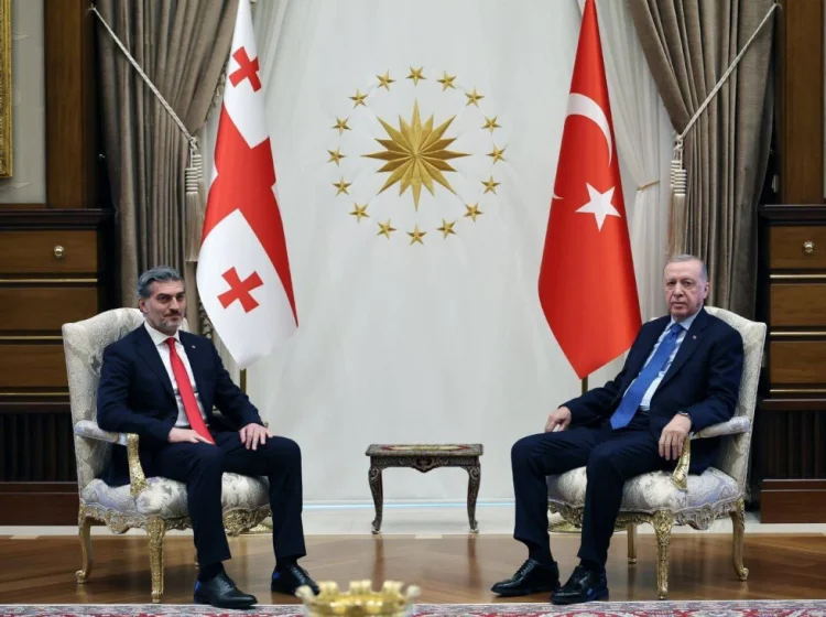 Kavelaşvili Ərdoğanla görüşdə narahatlığını bildirib