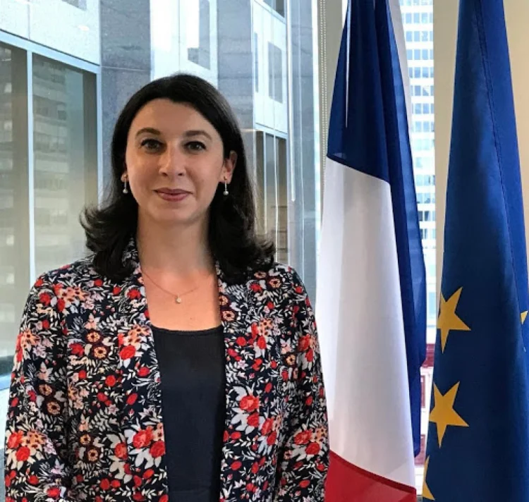 Fransa Azərbaycana yeni səfir təyin edib