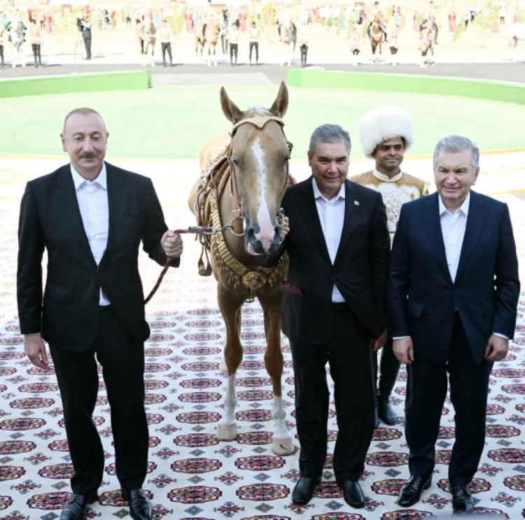 İlham Əliyevə “Axaltəkə” atı hədiyyə edilib
