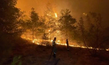 Türkiyədə meşələr yanır