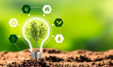 Azərbaycanda "Yaşıl Enerji Sənaye Parkı" yaradılacaq