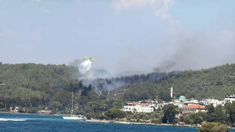 Bodrumda meşə yanır