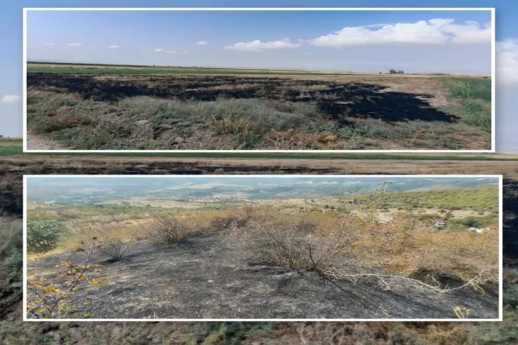 Füzuli və Xocavənddə yanğın törədən şəxslər saxlanılıb