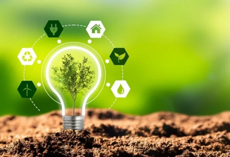 Azərbaycanda "Yaşıl Enerji Sənaye Parkı" yaradılacaq