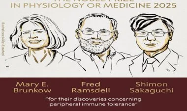 Tibb üzrə “Nobel” mükafatı laureatları məlum olub
