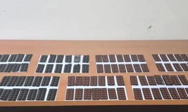 İrandan PUA ilə narkotik keçirilməsinin qarşısı alınıb