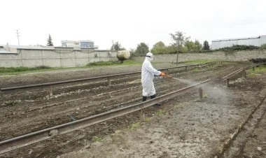 Heyvan satışı bazarlarında dezinfeksiya tədbirləri aparılır
