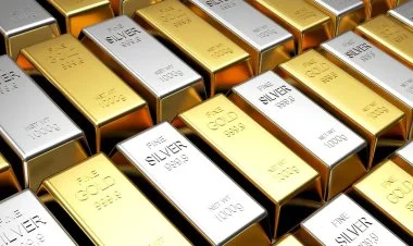 Qızıl və gümüş bahalaşr