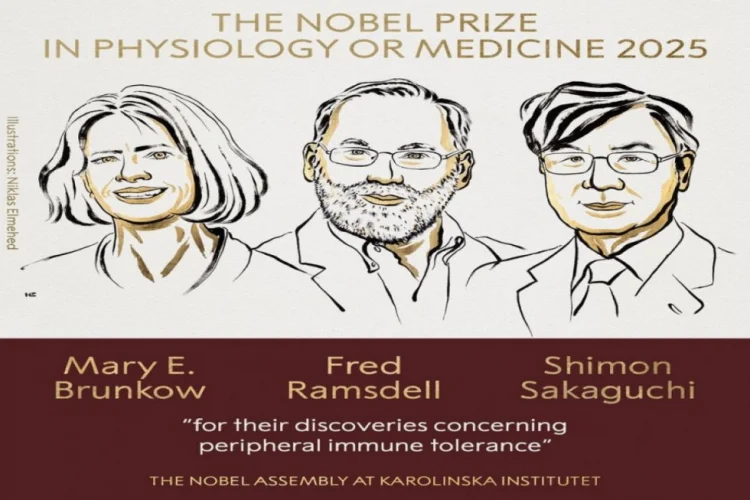 Tibb üzrə “Nobel” mükafatı laureatları məlum olub