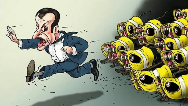 Fransada müxalifət Makrondan istefa verməsini tələb edir