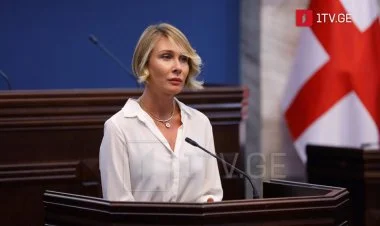 Gürcüstanın vitse-spikeri Ermənistan deputatlarını qınadı