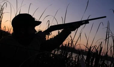 Azərbaycanda ov qaydalarını pozan əcnəbilər saxlanılıb