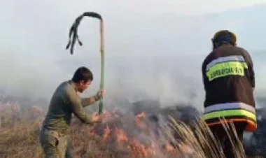 Gədəbəydə dağlıq ərazidə yanğın baş verib VİDEO