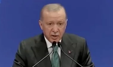 Qəza ilə bağlı Gürcüstanla koordinasiyalı şəkildə işləyirik