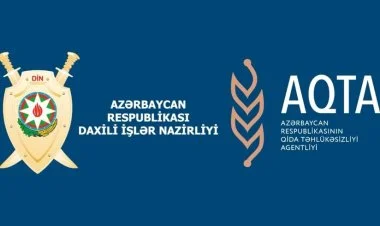 Bakıda 2 tona yaxın yararsız ət aşkarlanıb VİDEO