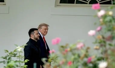 Trampın Zelenskiyə təqdim etdiyi "sülh planı"nın tam mətni