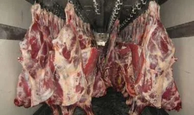 1 tondan artıq yararsız at əti aşkar olunub VİDEO