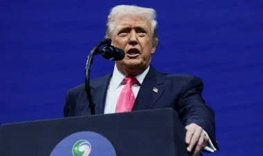 Ukrayna Donbası itirəcək, Baltik ölkələri narahat olmasın