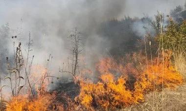 Kəlbəcərdə açıq ərazidə yanğın baş verib