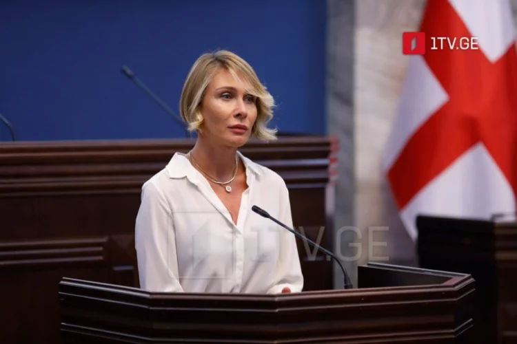 Gürcüstanın vitse-spikeri Ermənistan deputatlarını qınadı