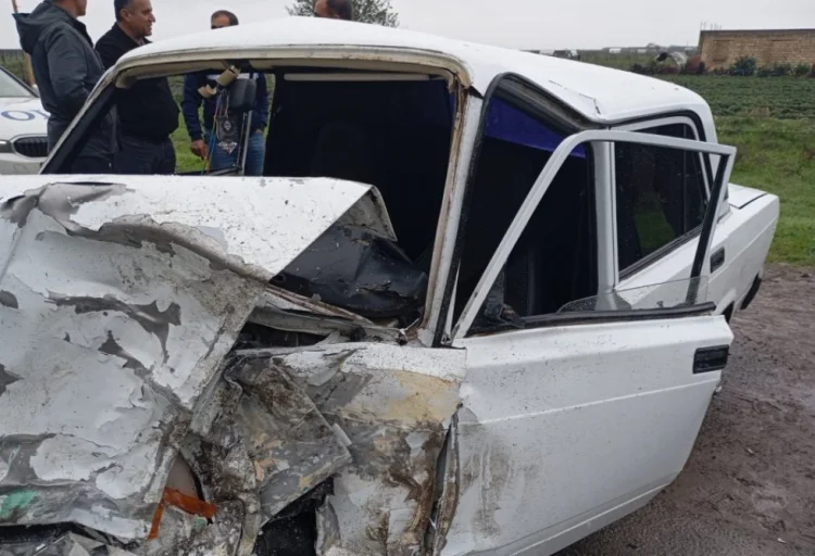 Cəlilabadda VAZ-2107 atla toqquşub: at ölüb,sürücü yaralanıb