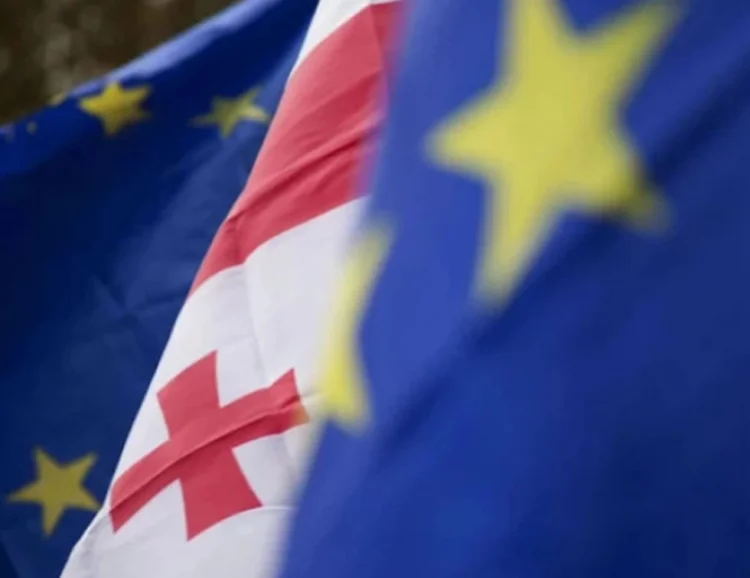 Gürcüstanın Aİ-yə daxil olması prosesi dayanıb