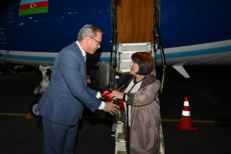 Azərbaycanı COP-30-da Sahibə Qafarova təmsil edəcək