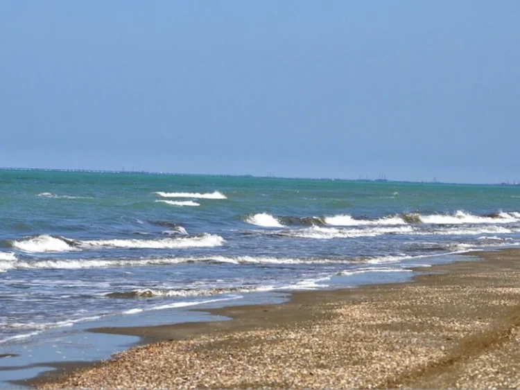 Ana 3 günlük körpəsini dənizə ataraq öldürüb