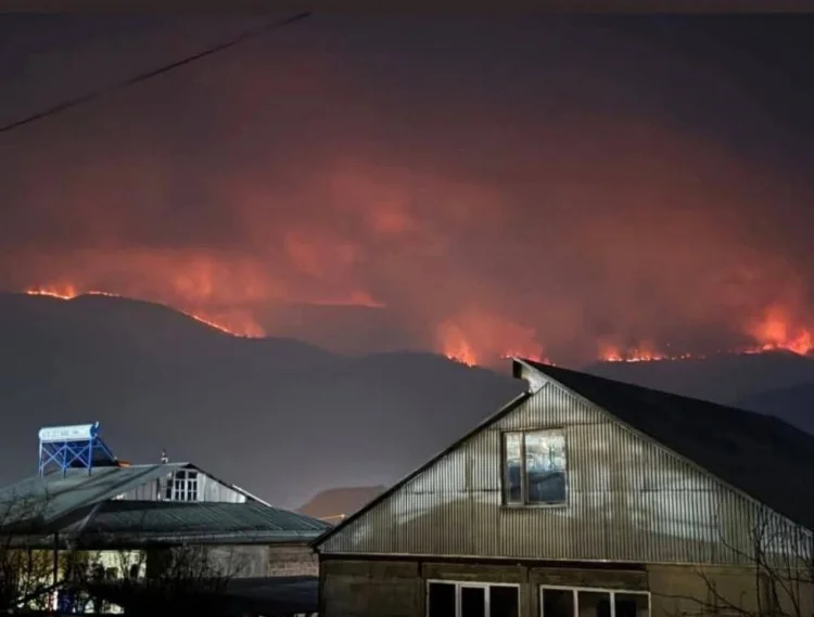 Qazaxla həmsərhəd olan Tavuşda meşə yanğını FOTO