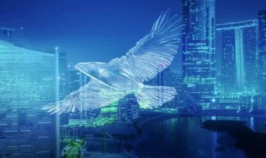 Əbu-Dabi Maliyyə Həftəsi işə başlayır