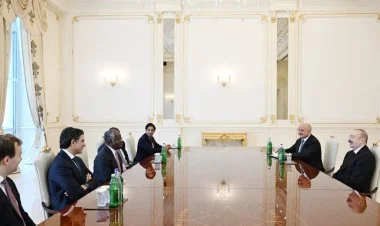 İlham Əliyev Adebayo Oqunlesini qəbul edib