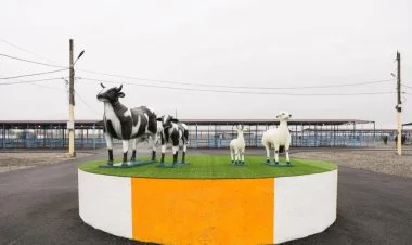 Bərdədə heyvan bazarı yaxın günlərdə fəaliyyətə başlayacaq