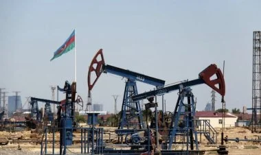 Azərbaycan bu il neçə ölkəyə və nə qədər neft ixrac edib?