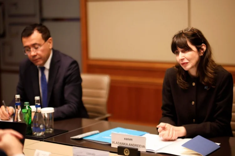 BMT rezident əlaqələndiricisinin səlahiyyət müddəti bitir