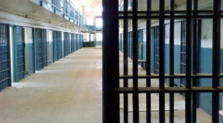 Amnistiya aktının icrasına başlanılıb