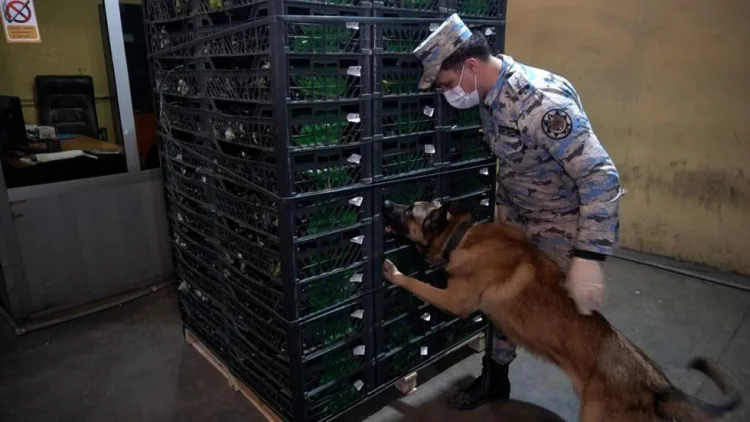 Astara Gömrük İdarəsi 148 kq-dan artıq narkotik aşkar edib