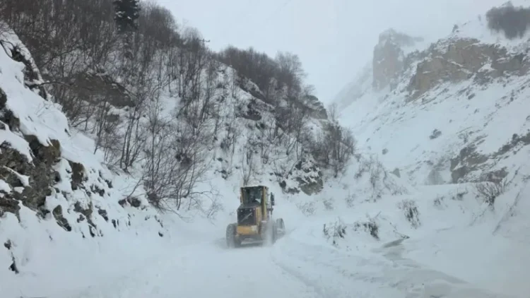 Türkiyədə üç çoban qar uçqununa düşüb