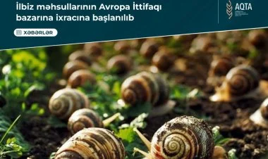 Azərbaycan ilbiz məhsullarını Avropa bazarına ixrac edir