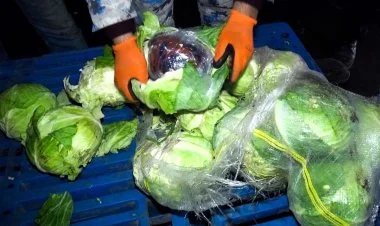 İrandan Gürcüstana narkotikin keçirilməsinin qarşısı alınıb