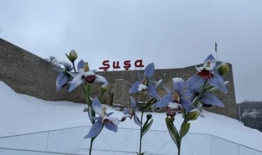 Şuşaya mövsümün növbəti qarı yağıb