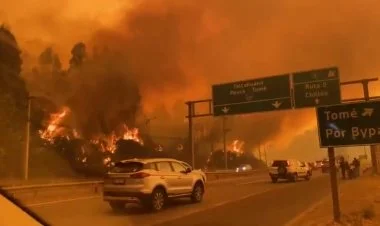 Çilidə meşə yanğınlarında ən azı 18 nəfər həlak olub FOTO