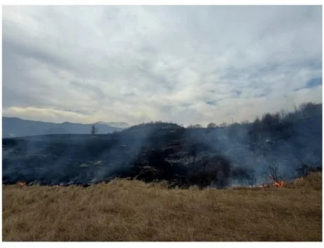 Xocalıda yanğına səbəb olan çoban saxlanılıb