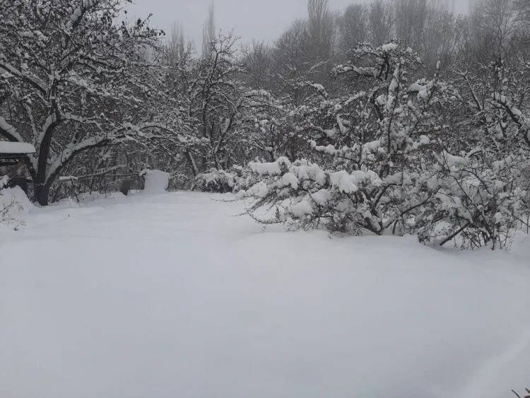 Naxçıvanda qarın hündürlüyü 43 sm olub